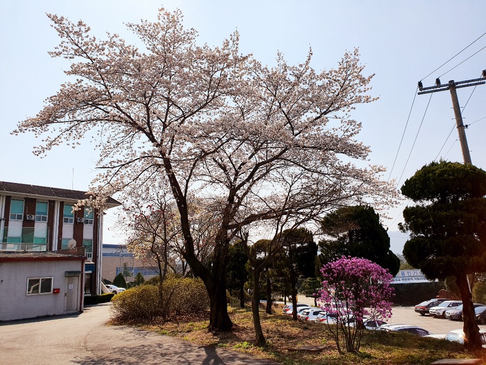 사용자 등록이미지